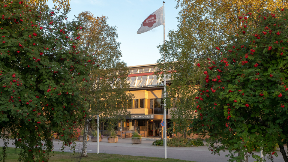 Flagga med texten Härjedalens kommun vajar framför en entré.