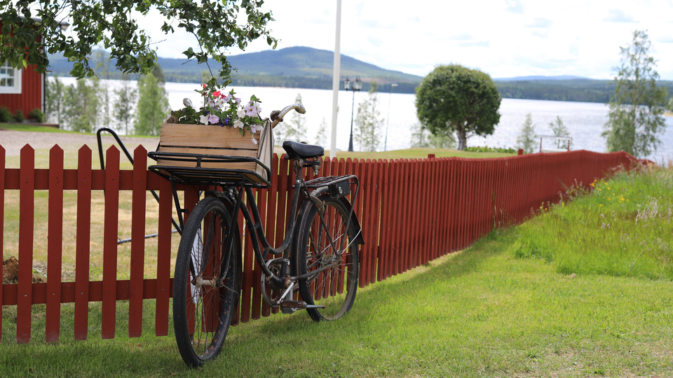 Cykel lutad mot ett staket på landet