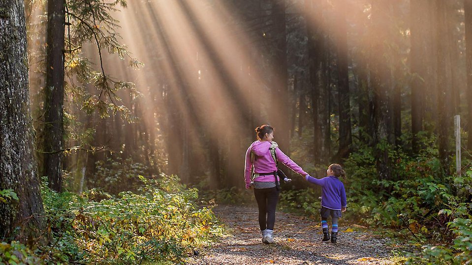 Mor och barn vandrar genom en solbelyst skog